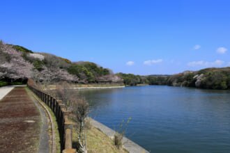 山口の宇部にあるときわ公園