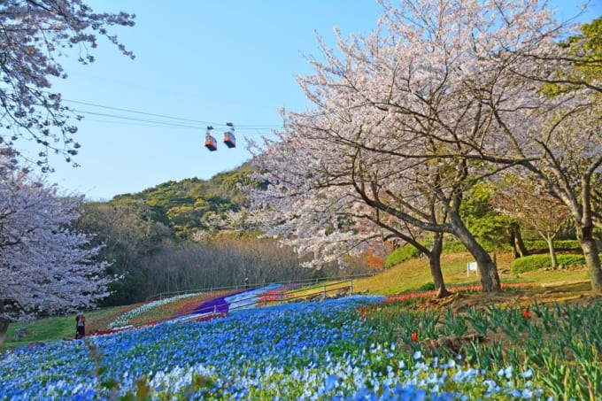 火の山公園　ロープウェイ