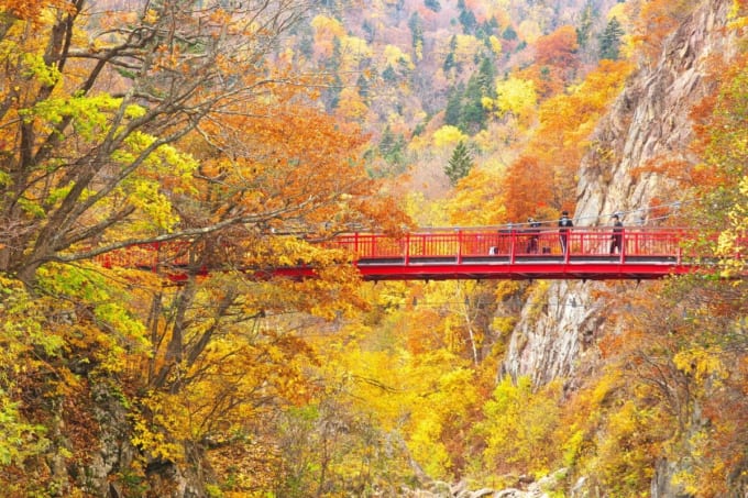 定山渓温泉　紅葉が美しい二見吊橋（北海道札幌市）