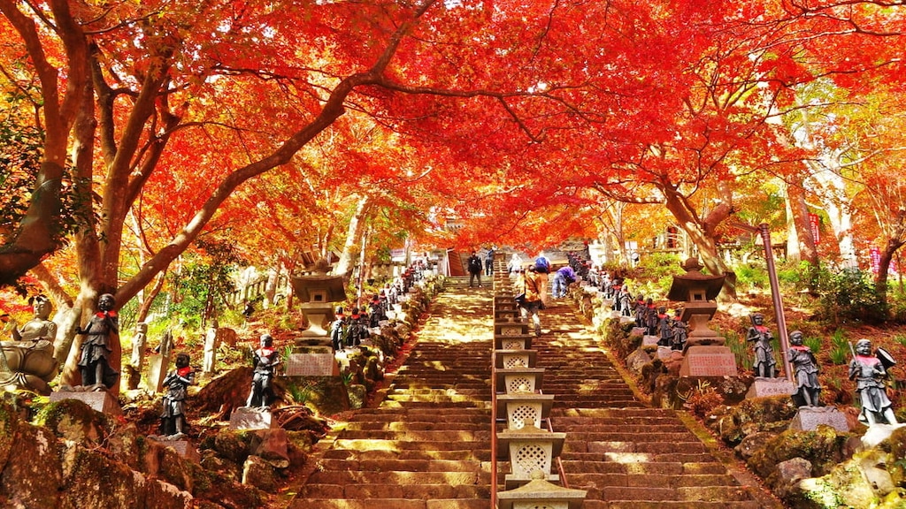 神奈川・大山の観光スポット15選！おすすめの名所をご紹介