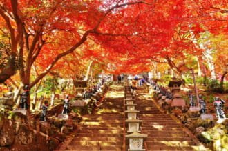 大山寺の紅葉（神奈川）