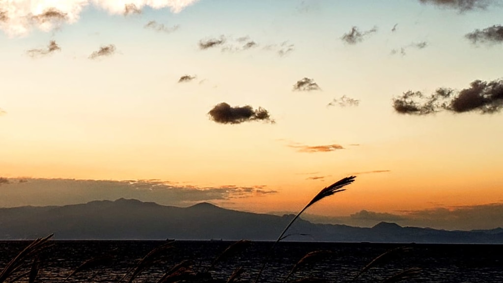 【モデルコース】伊豆大島の車なしで観光とは？｜週末の船旅で絶景名所へ！