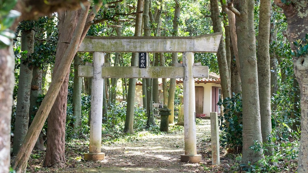 宮古島と石垣島のあいだ、多良間島の宿6選！離島ならでは素朴さが魅力