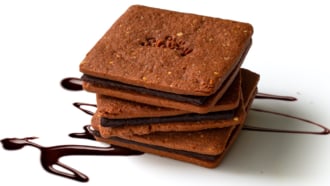 生はちみつ専門店「MYHONEY」「ハニーショコラサンド リープ」