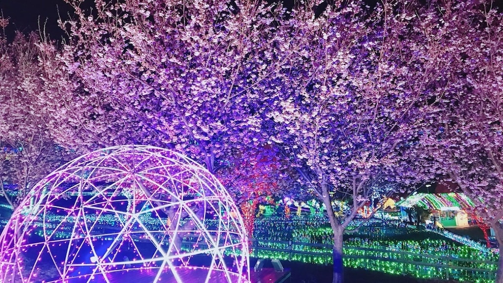 伊豆ぐらんぱる公園で「城ケ崎桜」の開花がスタート！見ごろは2020年3月上旬頃予定