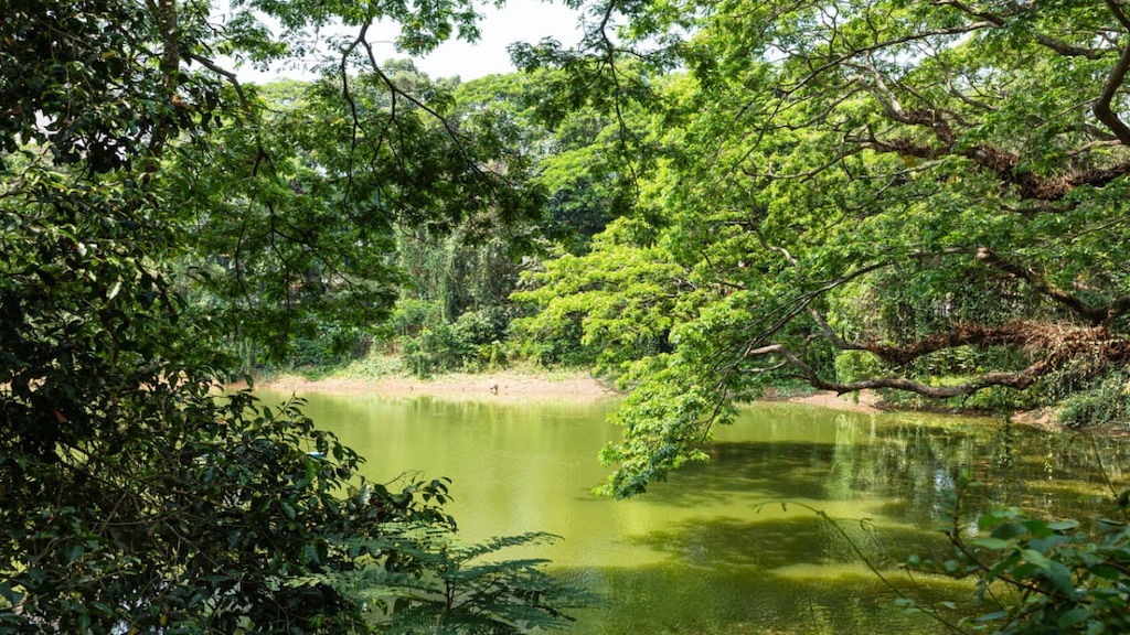 インド南端近くのティルヴァナンタプラムおすすめ観光スポット10選！