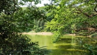 ティルヴァナンタプラム