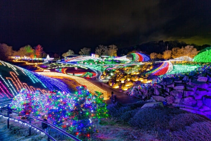 国営讃岐まんのう公園　ウィンターファンタジー