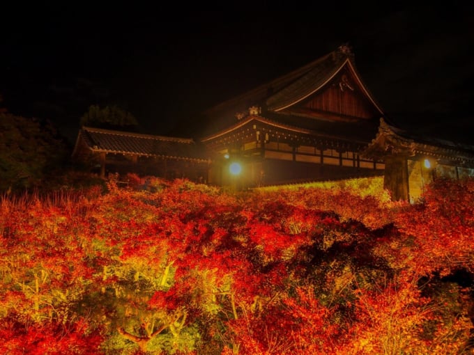 東福寺　紅葉ライトアップ