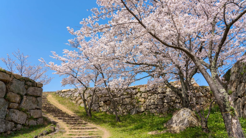 まだまだ知らないことばかり！鳥取米子の観光スポット11選　