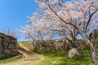 鳥取　桜の美しい米子城