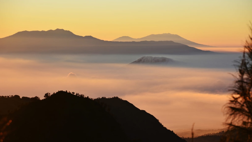 元駐在員がおすすめするインドネシア第2の都市スラバヤの観光スポット9選