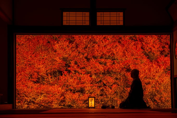 但馬安国寺 紅葉