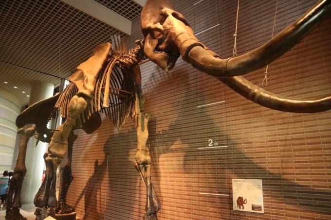 ミュージアムパーク茨城県自然博物館