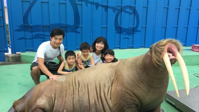 伊勢夫婦岩ふれあい水族館シーパラダイス】距離感ゼロのふれあい体験を