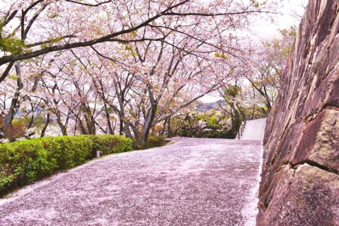 亀居城跡　亀居公園
