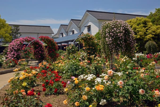 あやべグンゼスクエア