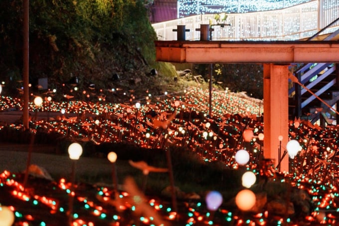 ネスタリゾート神戸　NESTA ILLUMINA（ネスタイルミナ）～光のさんぽみち～