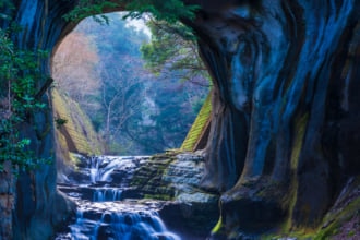 初夏観光のおすすめスポット