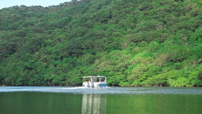 浦内川遊覧船クルーズ