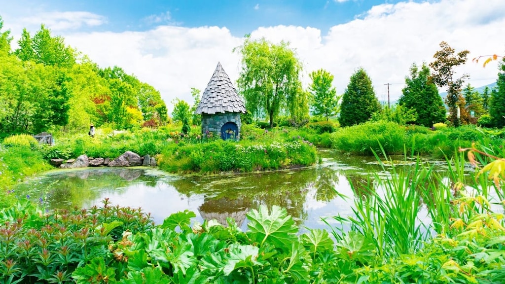 旭川・上野ファームの見頃や料金をご紹介