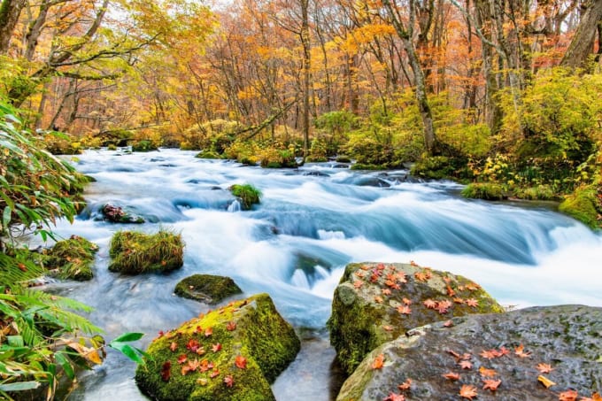 奥入瀬渓流 三乱の流れ