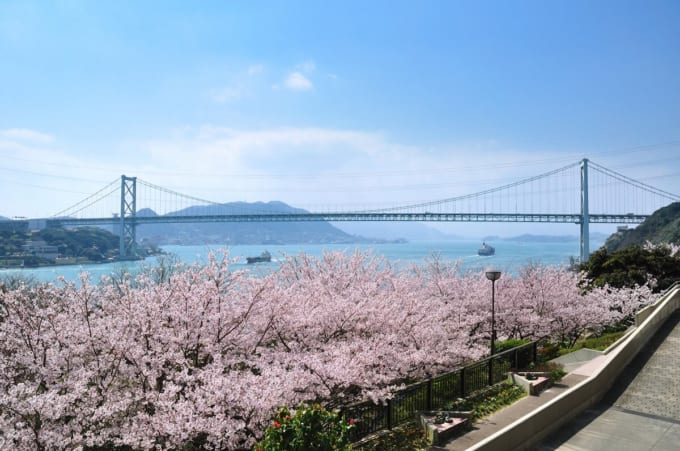火の山公園　桜と関門海峡