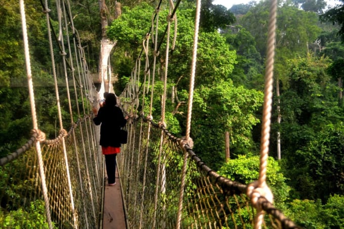 カクム国立公園（ガーナ）