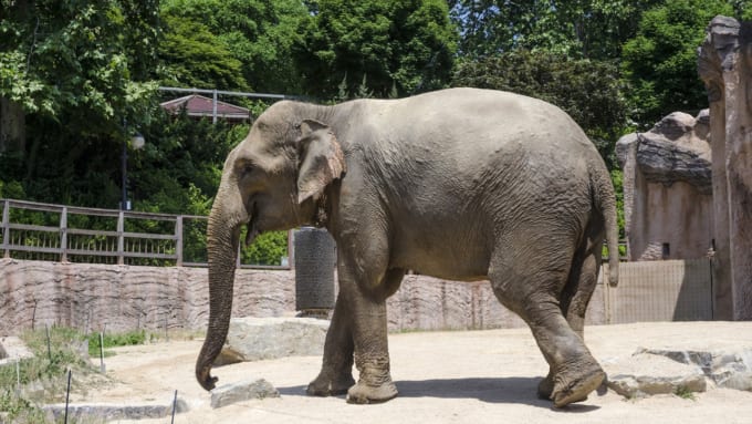 ソウル子供大公園