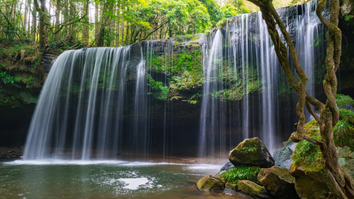 熊本県】鍋ケ滝の観光情報｜事前予約が必須の景勝地とは