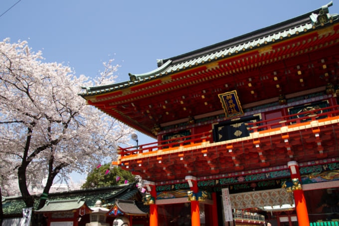 桜が綺麗な神社 東京