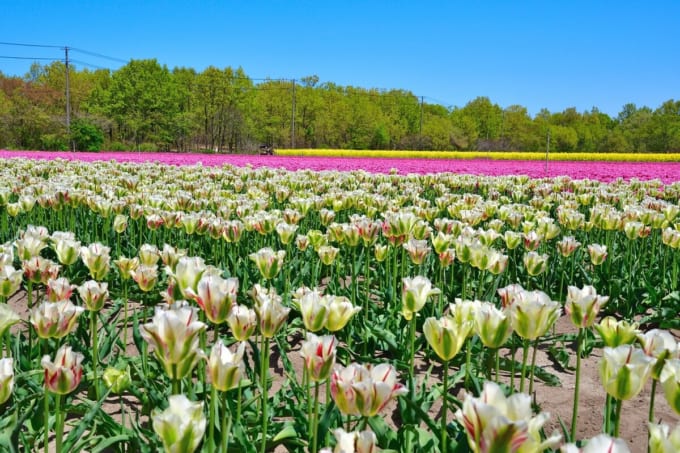 長池憩いの森公園