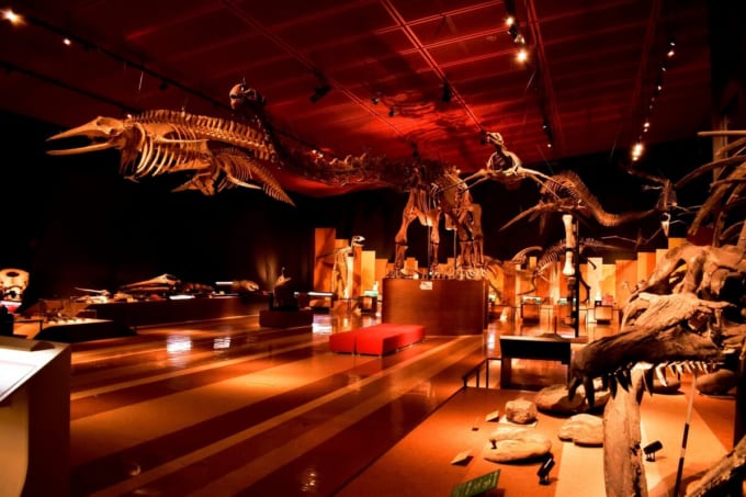 いわき市石炭・化石館ほるる