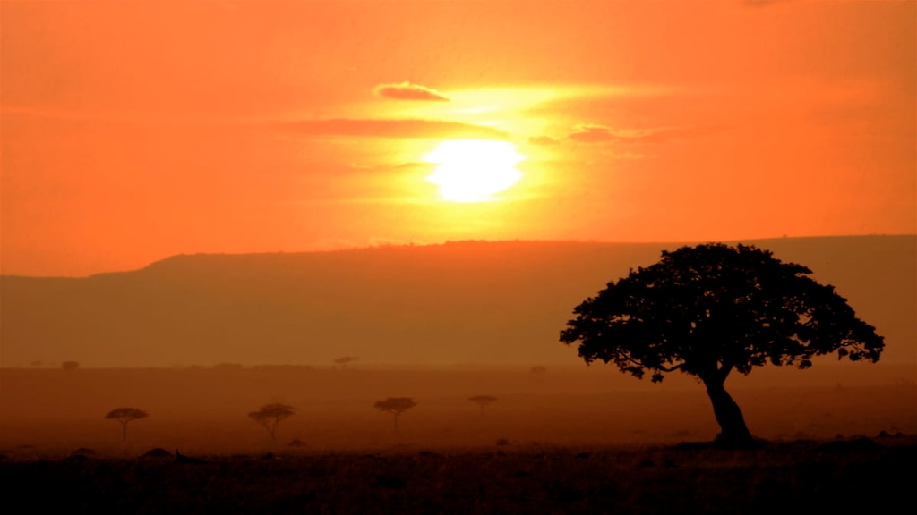 美しい自然と野生動物に会いに行こう！ケニアおすすめ観光スポット5選