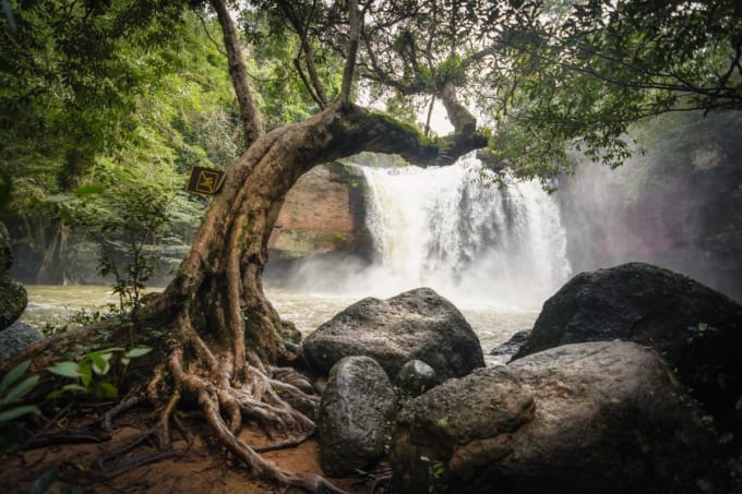ドンパヤーイェン-カオヤイ森林地帯（タイ世界遺産）