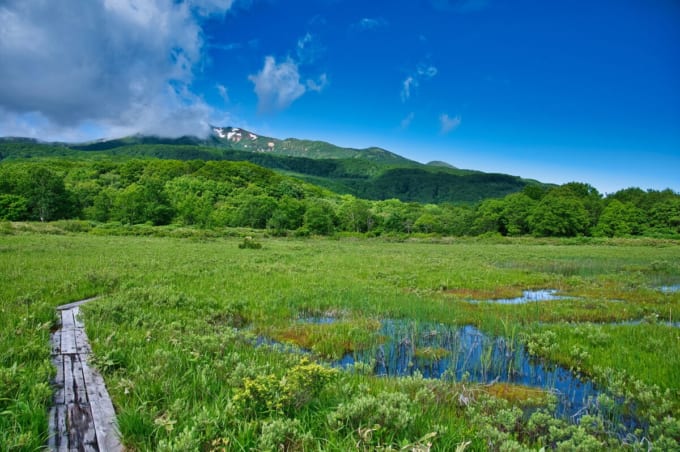 八甲田山　田代平湿原（青森県）