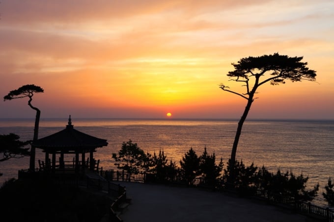 洛山寺の朝日の画像