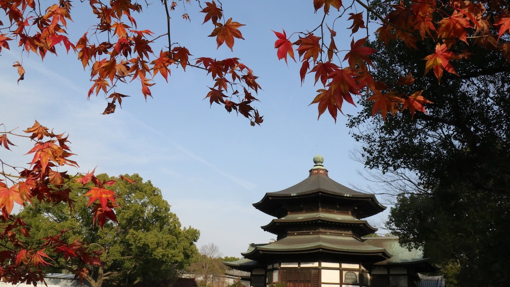 奈良県 斑鳩町の周辺で素敵なホテルを探すならどこ？