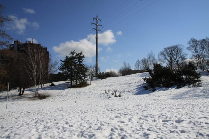 水曜どうでしょう 西表島