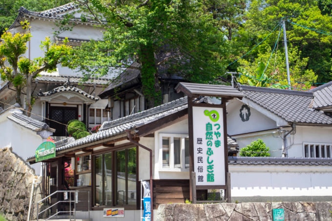つやま自然のふしぎ館（岡山県）