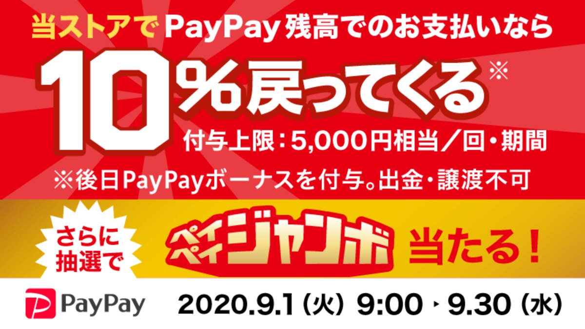 スカイチケット国内航空券予約も対象 Paypayでの支払いで10 キャッシュバックキャンペーン Skyticket 観光ガイド