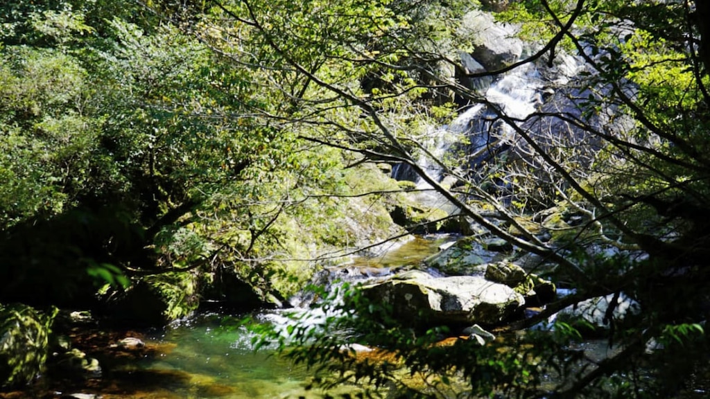 白谷雲水峡①【手軽な散策コース】渓谷・滝・大岩めぐりのルート