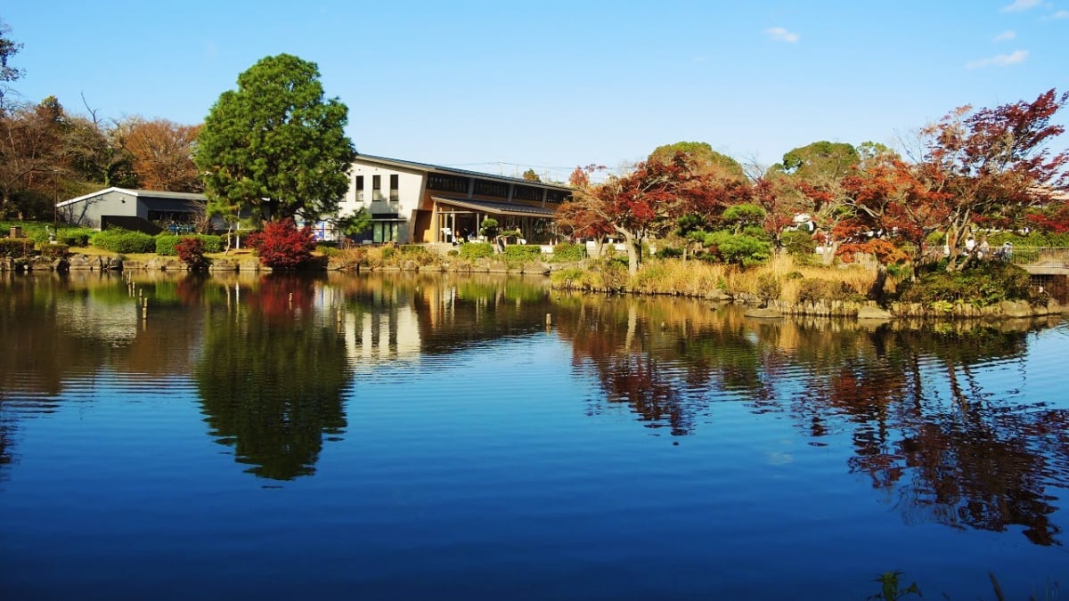 こども 自然 公園 横浜