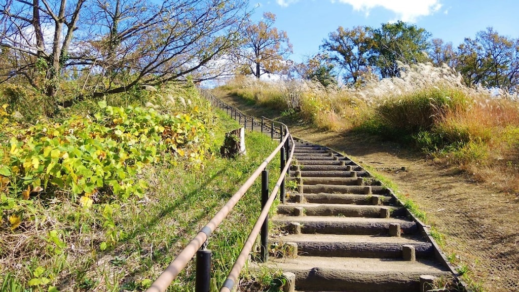 横浜・こども自然公園の紅葉の時期、見どころをご紹介！