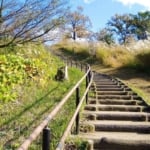 横浜・こども自然公園