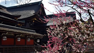 京都　北野天満宮