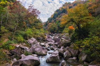 鬼の舌震、2017年秋 紅葉