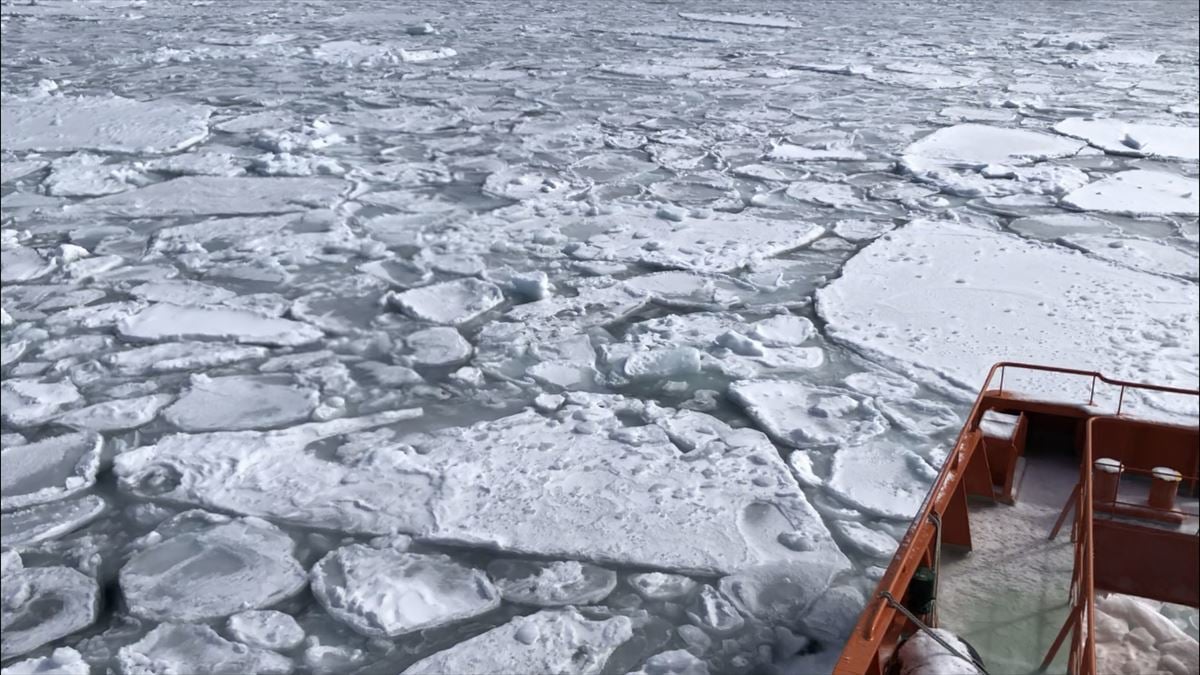 紋別 コレクション 流氷 カメラ