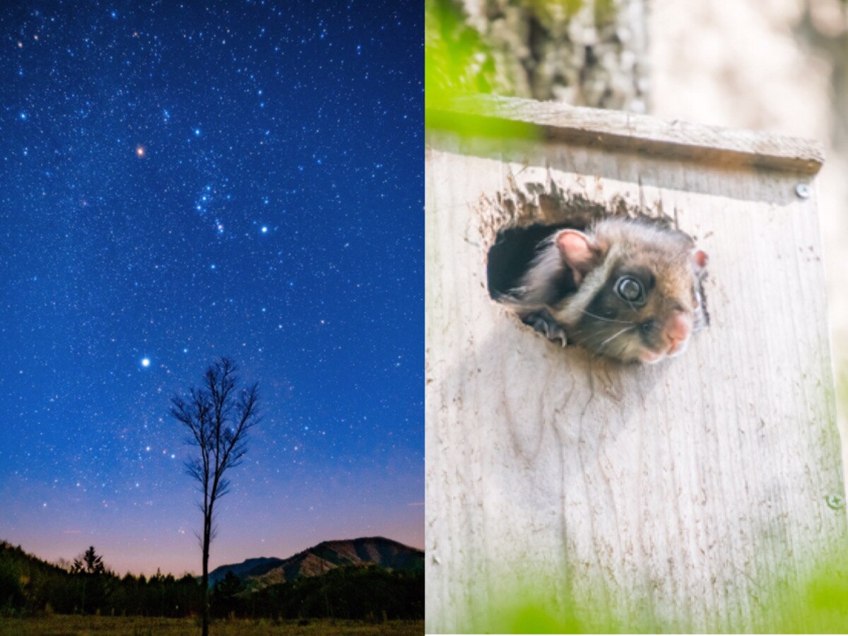 長野県 遊び場からホテル 旅館 ランチまで 子連れで思いっきり遊ぶ旅行プラン Skyticket 観光ガイド