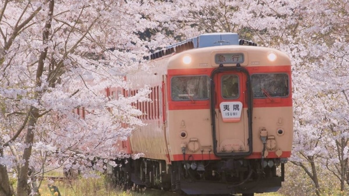 22年最新 関東 桜の穴場名所7選 混雑しないお花見スポットとは Skyticket 観光ガイド